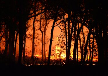 De la inundații la incendii de pădure, proiectele care ajută Europa să se adapteze la fenomenele extreme