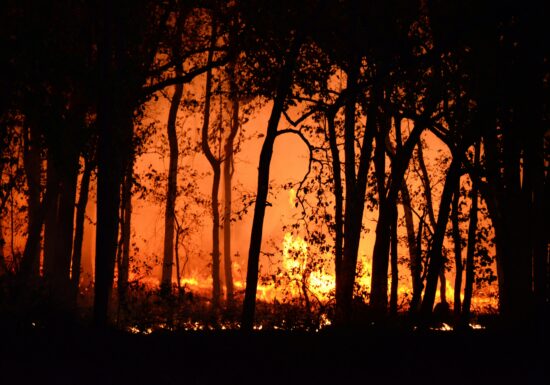 Europa arde, iar ce e mai rău abia urmează: suprafața afectată de incendii s-ar putea tripla