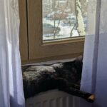 Primăria Capitalei: Cine nu are apă caldă și căldură nu plătește agentul termic la preț întreg