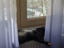 Primăria Capitalei: Cine nu are apă caldă și căldură nu plătește agentul termic la preț întreg