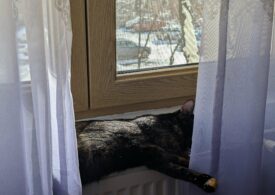 Primăria Capitalei: Cine nu are apă caldă și căldură nu plătește agentul termic la preț întreg