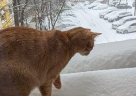 Climatolog: Primăvara este încă departe. E perfect normal să avem temperaturi negative și la începutul lunii martie