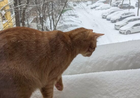 Climatolog: Primăvara este încă departe. E perfect normal să avem temperaturi negative și la începutul lunii martie