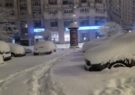 <span style="color:#990000;">LIVE</span> România în viscol: Peste 240 de copaci și stâlpi s-au prăbușit. Zeci de mașini au fost avariate. Zboruri anulate, școli închise și trenuri cu 6 ore întârziere (Foto & Video)