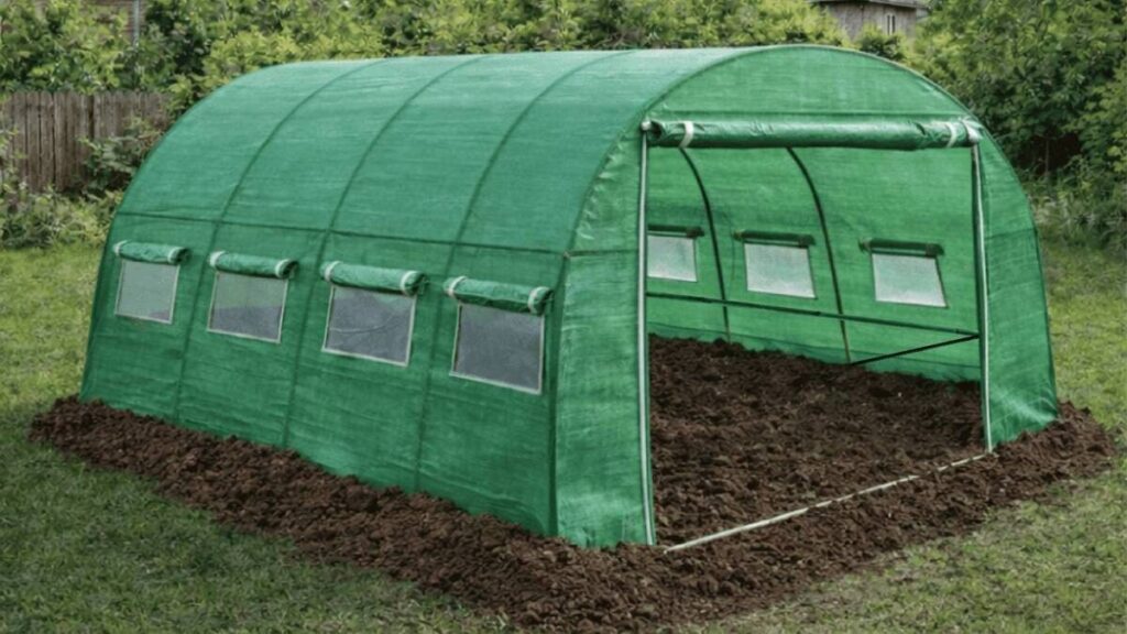 8 tehnici de plantare și întreținere a legumelor în solar