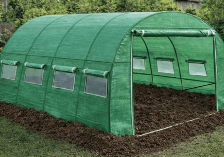 8 tehnici de plantare și întreținere a legumelor în solar