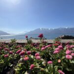 Care sunt cele mai sigure destinații de vacanță în 2026. Turiștii devin mai precauți și își regândesc planurile de călătorie