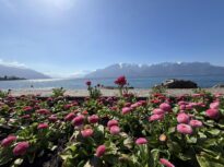 Care sunt cele mai sigure destinații de vacanță în 2026. Turiștii devin mai precauți și își regândesc planurile de călătorie