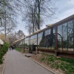 Exclusiv Culisele luptei pentru Herăstrău. Episodul 2: De la Nuba la Tuya. Lupta polițiștilor pentru demolări. Și cum s-au pierdut hârtiile lor prin PMB