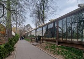 <span style="color:#990000;">Exclusiv</span> Culisele luptei pentru Herăstrău. Episodul 2: De la Nuba la Tuya. Lupta polițiștilor pentru demolări. Și cum s-au pierdut hârtiile lor prin PMB