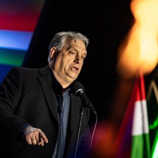 Viktor Orban, Ungaria