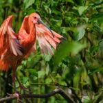 Un obicei simplu, ieftin și foarte plăcut poate ține creierul tânăr la bătrânețe. S-a demonstrat că previne declinul cognitiv