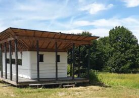 Casele din carton și cânepă câștigă teren în România. Pot fi montate în doar două zile