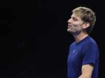 David Goffin