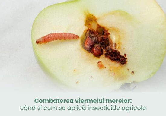 Combaterea viermelui merelor: când și cum se aplică insecticide agricole