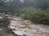 Hawaii se confruntă cu cele mai grave inundații din ultimii 20 de ani. Mii de oameni au fost evacuați (Video)