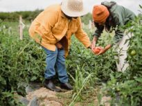 Expunerea la substanțe din mediul înconjurător ar putea afecta sănătatea urmașilor timp de 20 de generații – studiu