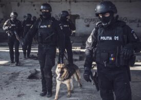 Un bărbat care arunca cu pietre în trecători și mașini a fost împușcat în picior de mascați după a atacat cu sabia un polițist (Video)