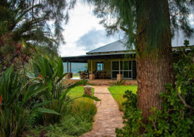 Top 5 stiluri de amenajare a grădinii tale care sunt în tendințe în 2026