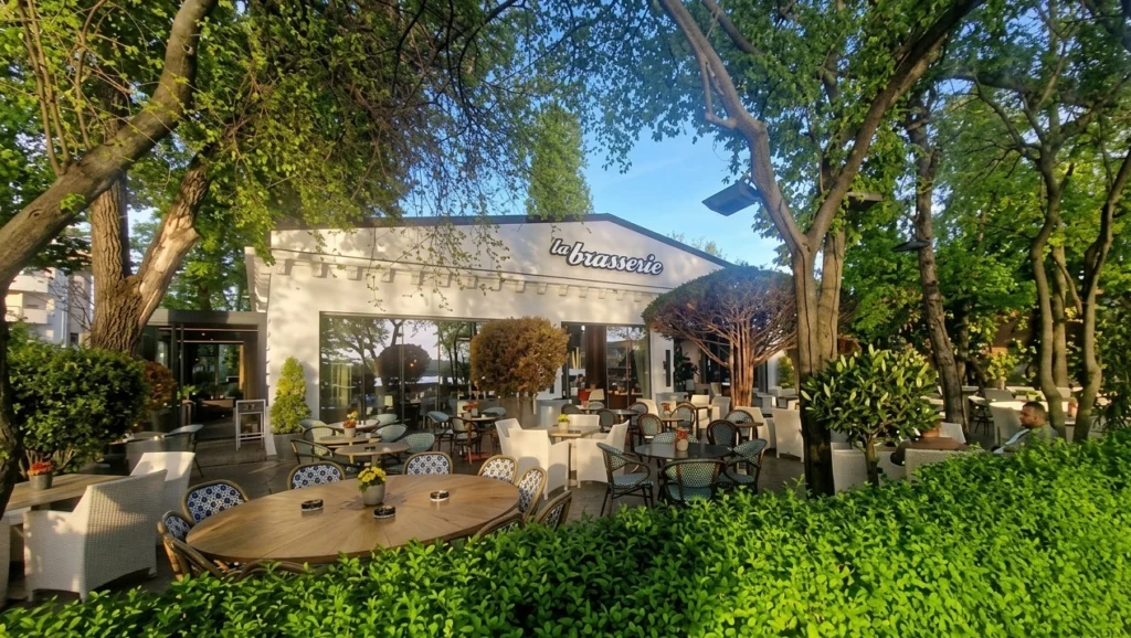 Brasserie 1 fără glow