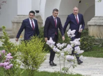 Criza politică și cauza ei ascunsă: fenomenul mamutului pitic. Viitorul nu sună bine