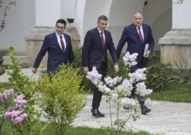 Criza politică și cauza ei ascunsă: fenomenul mamutului pitic. Viitorul nu sună bine