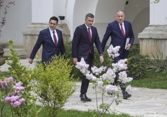 Criza politică și cauza ei ascunsă: fenomenul mamutului pitic. Viitorul nu sună bine