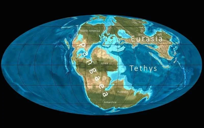 Marea Tethys_foto thecriticalscript1