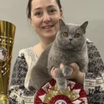 O pisică din România e cea mai frumoasă din Europa. Cum arată „ursoaica din Bucovina”