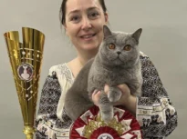 O pisică din România e cea mai frumoasă din Europa. Cum arată „ursoaica din Bucovina”