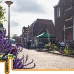 Case calde, facturi mai mici, o UE mai puternică: Puterea rețelelor energetice conduse de cetățeni