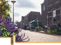 Case calde, facturi mai mici, o UE mai puternică: Puterea rețelelor energetice conduse de cetățeni