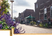 Case calde, facturi mai mici, o UE mai puternică: Puterea rețelelor energetice conduse de cetățeni