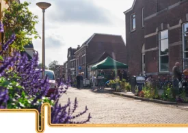 Case calde, facturi mai mici, o UE mai puternică: Puterea rețelelor energetice conduse de cetățeni