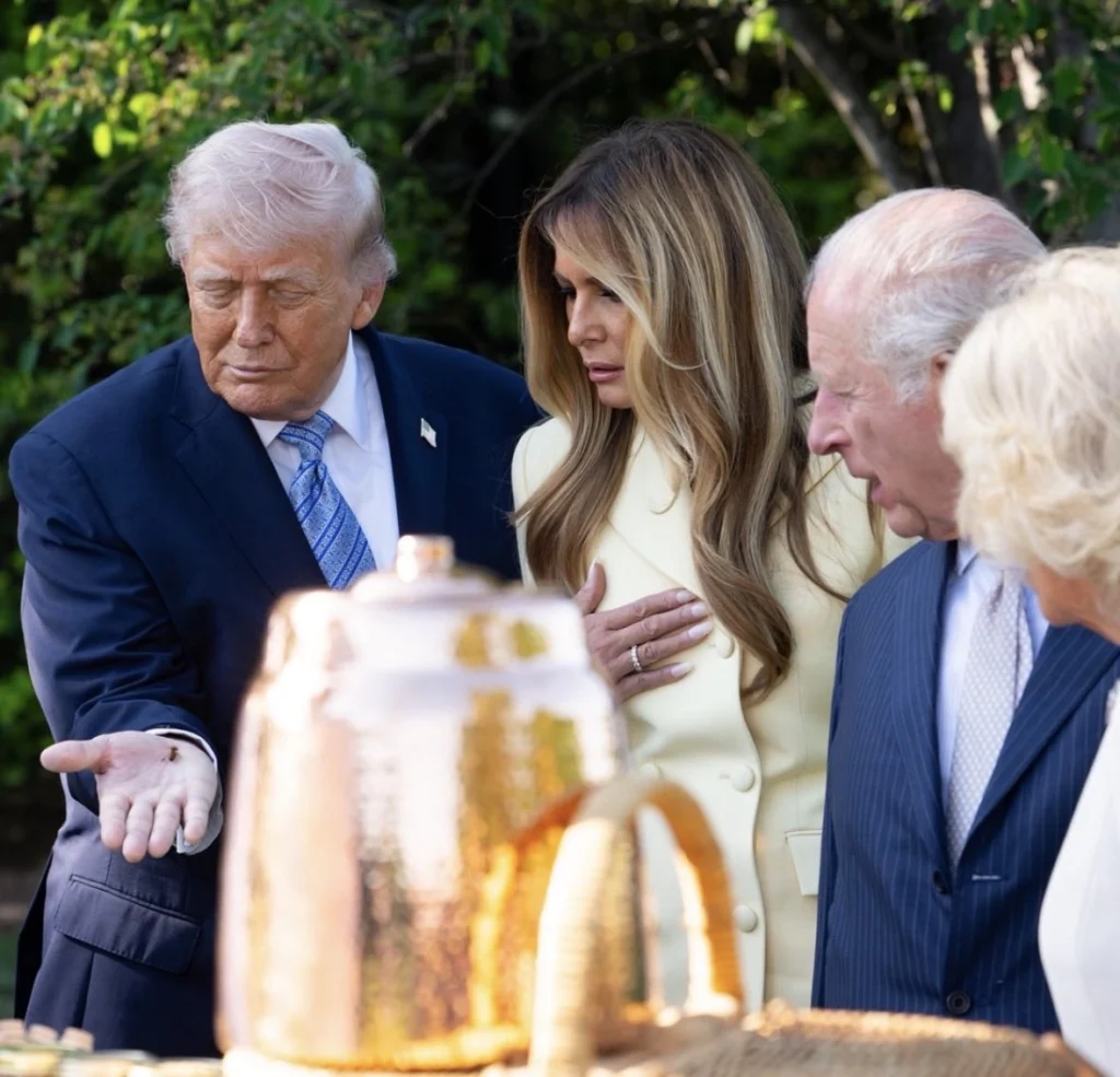 Casa Albă a publicat o poză cu Donald Trump și regele Charles însoțită de textul: „Doi regi”