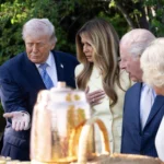 Casa Albă a publicat o poză cu Donald Trump și regele Charles însoțită de textul: „Doi regi”