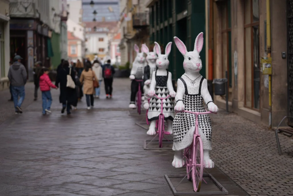butaforii iepuri Timisoara