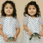 Cât de mult contează genele când vine vorba despre longevitate? Descoperirea care schimbă ce se știa