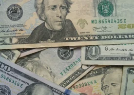 Pași simpli pentru a-ți organiza bugetul lunar cu profitpoint.ro