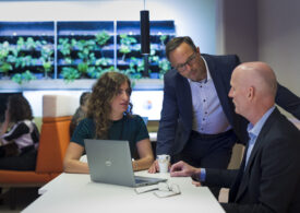 Cum se schimbă loialitatea în piața muncii în 2026