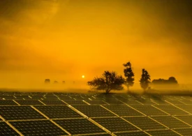 Premieră în SUA: panourile fotovoltaice au produs mai multă energie decât cărbunele