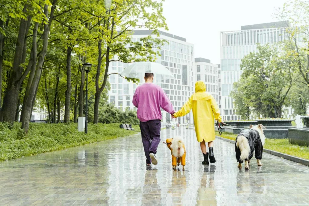 Vreme rece, ploi, vijelii și grindină, dar apoi temperaturile urcă din nou la 30 de grade