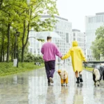 De ce ne face ploaia să ne simțim mai bine. Explicațiile științifice puțin cunoscute din spatele unui fenomen aparent banal