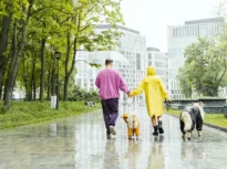 De ce ne face ploaia să ne simțim mai bine. Explicațiile științifice puțin cunoscute din spatele unui fenomen aparent banal