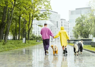 Vreme rece, ploi, vijelii și grindină, dar apoi temperaturile urcă din nou la 30 de grade