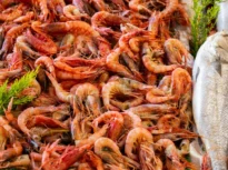 Un virus din fructele de mare infectează oameni și provoacă o boală oculară cronică