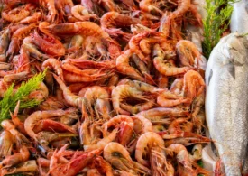 Un virus din fructele de mare infectează oameni și provoacă o boală oculară cronică