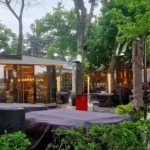 Culisele luptei pentru Herăstrău (5): Ciucu anunță „o analiză” a teraselor din parc. Ce se întâmplă, între timp, pe teren și prin instanțe: Casa di David și Stadio Park