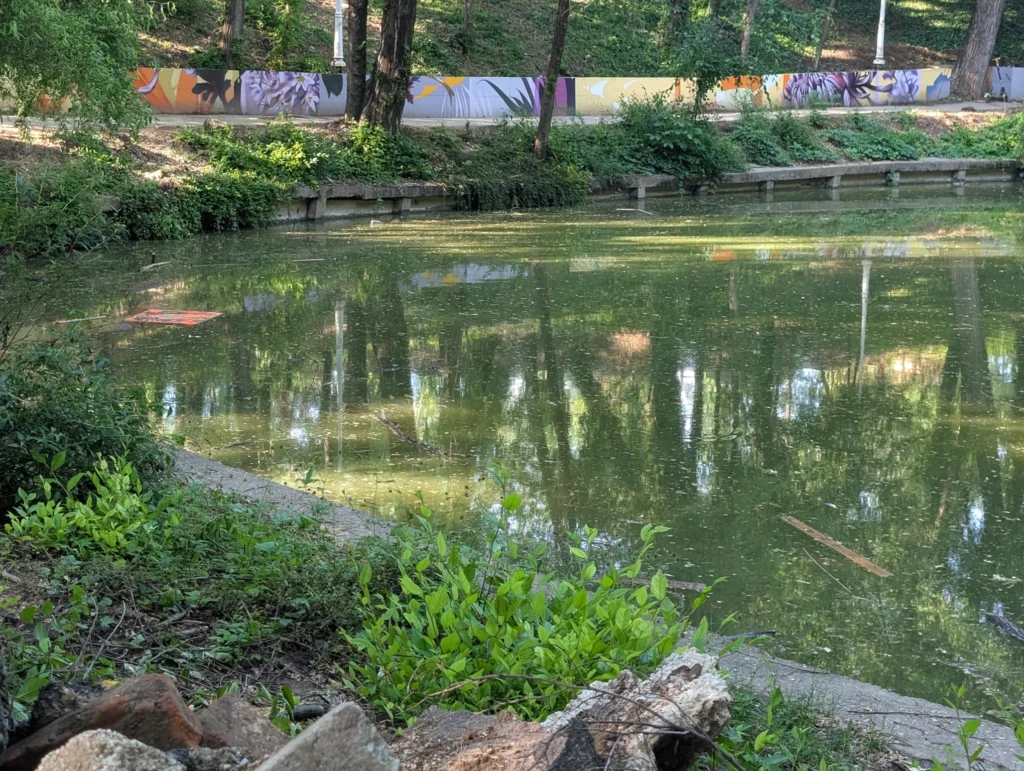 Lacul din Parcul National