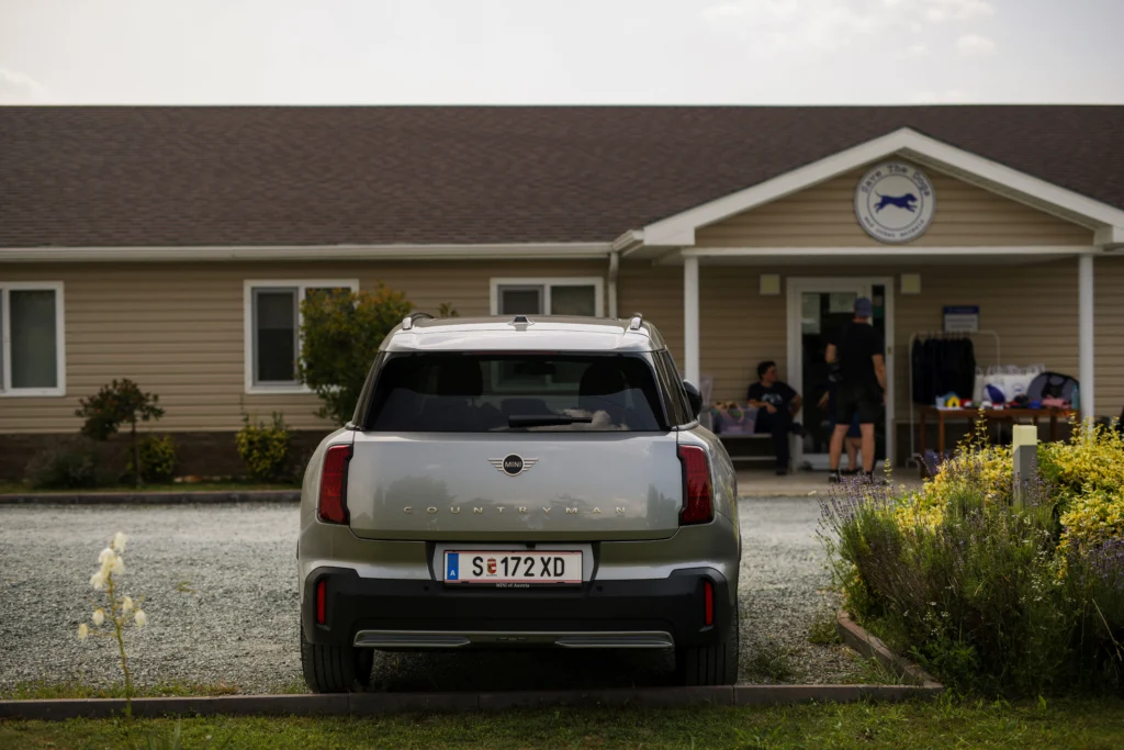 Urmne de Bucurie Mini BMW